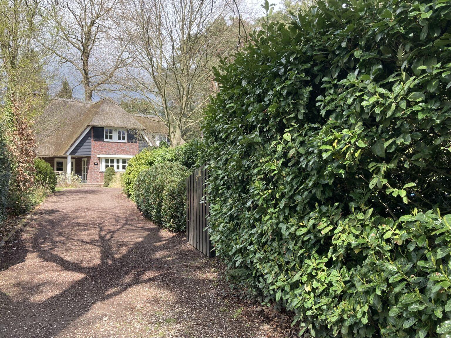 vergaderen-en-overnachten-in-villa-in-prive-villa-in-het-bos-omgeving